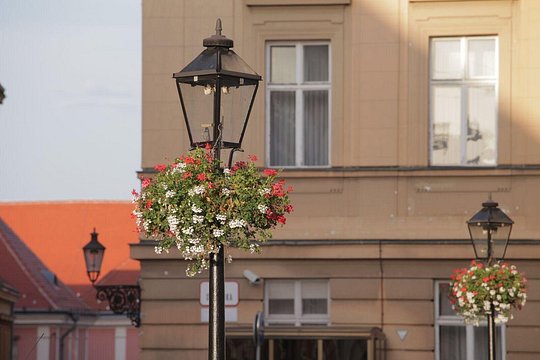 Tour image 9