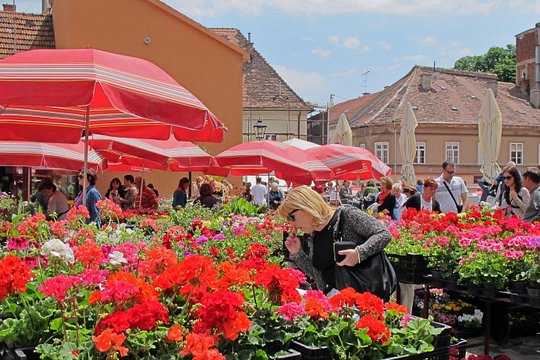 Tour image 7