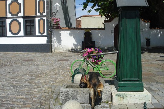 Tour image 9