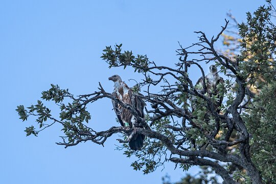 Tour image 5