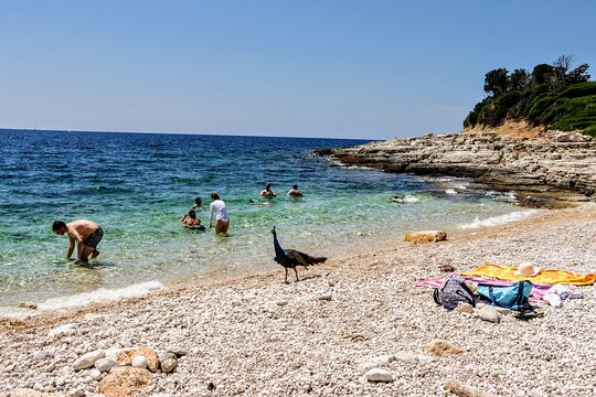 Tour image 12