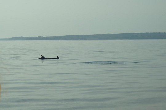 Tour image 6