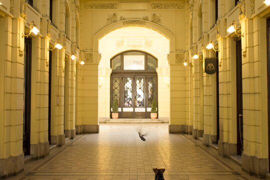 Tour image 10
