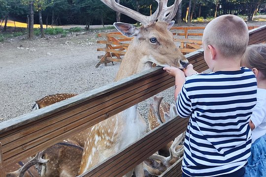 Tour image 6