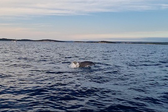 Tour image 6